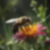A close-up of a ground bee on a wildflower, showcasing its vibrant colors.