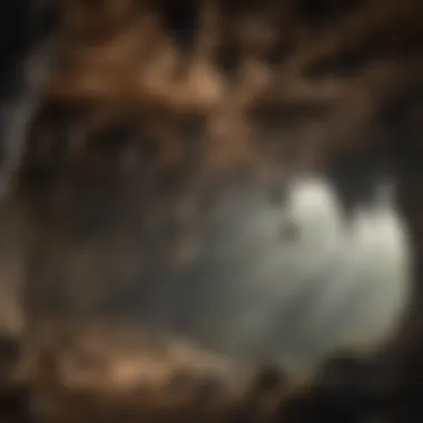 Cave Dwellers: Hanging Bat Colony Group of bats hanging upside down in a cave