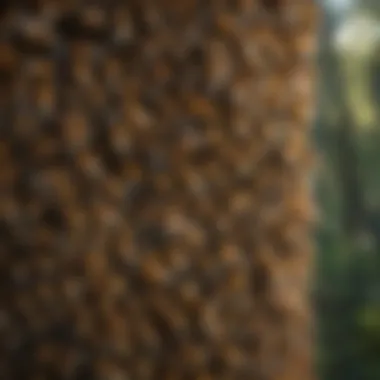 Group of big bumblebees collaborating in a hive