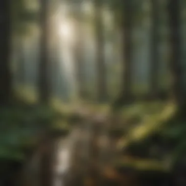 Biodiversity Symphony Harmony of Biodiversity