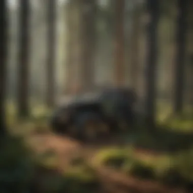 Harvesting Techniques in Sustainable Forestry