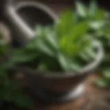 Mint leaves in a vintage mortar and pestle