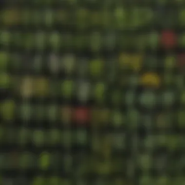 A collage of various helpful herbs found in American forests.