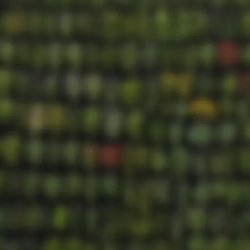 A collage of various helpful herbs found in American forests.