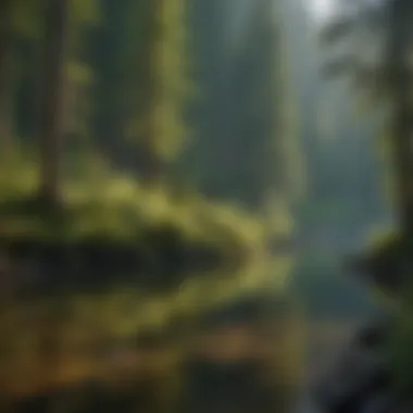 Hiker enjoying a serene lake view in Washington State Park