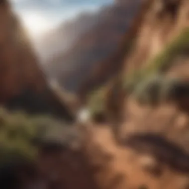 Hiker Conquering Steep Climb in Grand Canyon