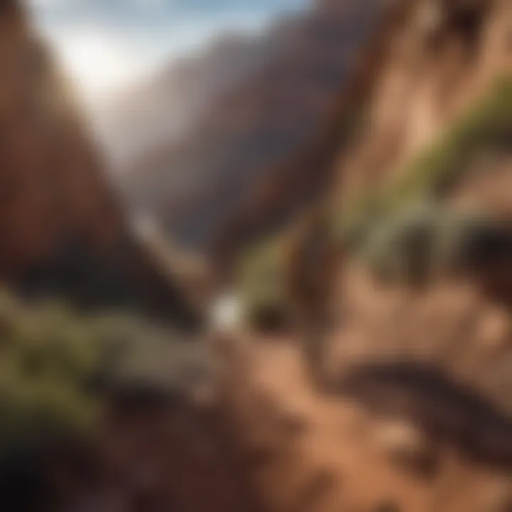 Hiker Conquering Steep Climb in Grand Canyon
