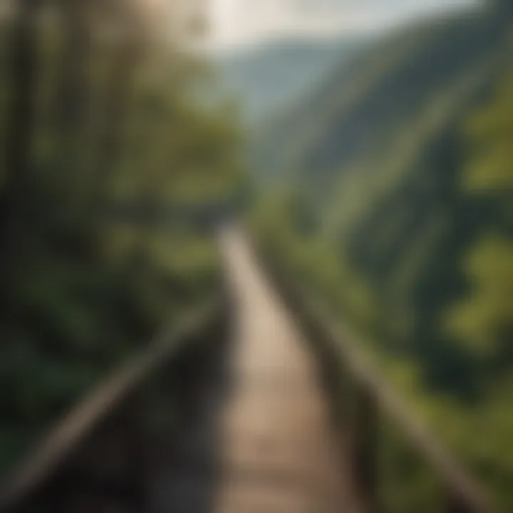 Hiker on Trail with Scenic Overlook