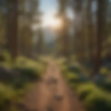 Panoramic Hike Scenery Hiking Trail with Mountain View in Sparks, NV