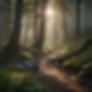 Hiking Trails at McGill Campground