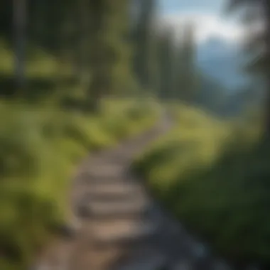 Hiking Trails with Glacier Views
