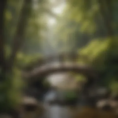 Enchanting Bridges of Hill City Enchanting Bridges of Hill City