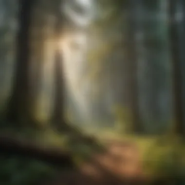 Influence of Forests on Culture Forest influencing ancient culture