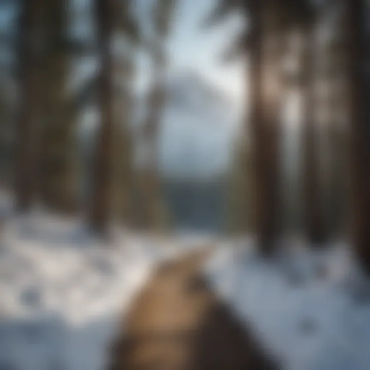 Historical Charm of Mt. Hood