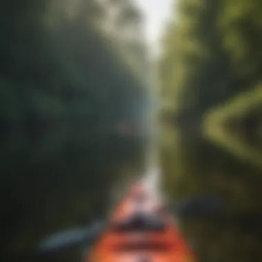 Immersive Kayaking Experience on Hiwassee River Hiwassee River Kayaking Adventure