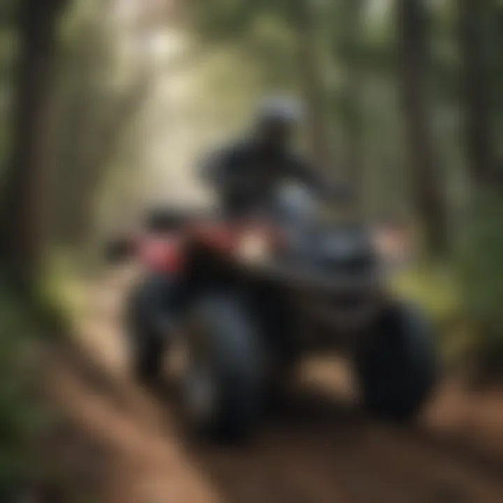 Diverse terrain for four-wheeler riding in Houston