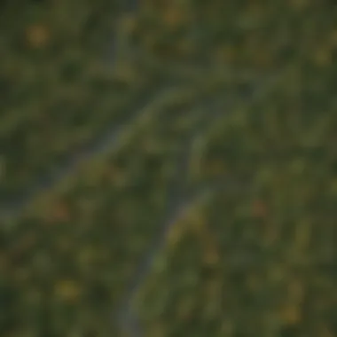 Map illustrating the geographical distribution of different tree types.