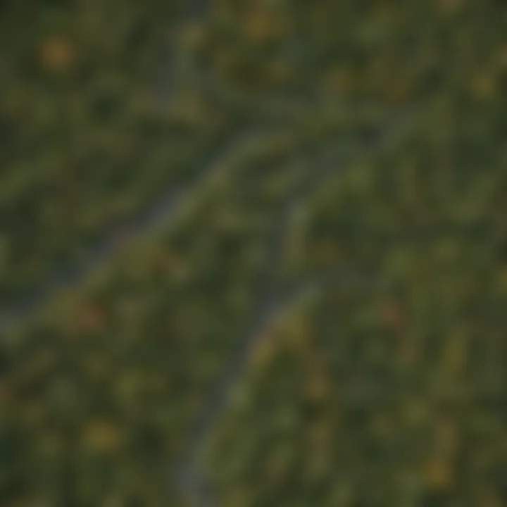 Map illustrating the geographical distribution of different tree types.