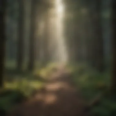 Environmental Influence Illustration showcasing the impact of Humboldt's environmental awareness on American forestry