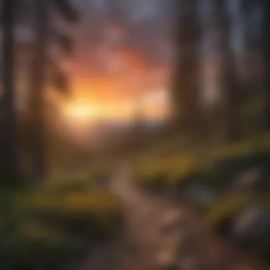 Sunset Glow on Hiking Trail Sunset Glow on Idaho Hiking Trail