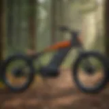 Innovative Electric Bike Design by Edison Bikes
