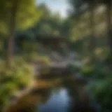 Reflective Garden Oasis Innovative living memorial garden design