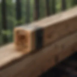 Innovative Mass Timber Connectors