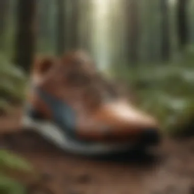 Revolutionary Puma Footwear Designs Innovative Puma Footwear