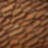 Close-up view of cedar shakes showcasing their natural grain and texture