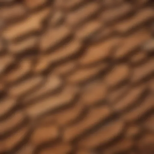 Close-up view of cedar shakes showcasing their natural grain and texture