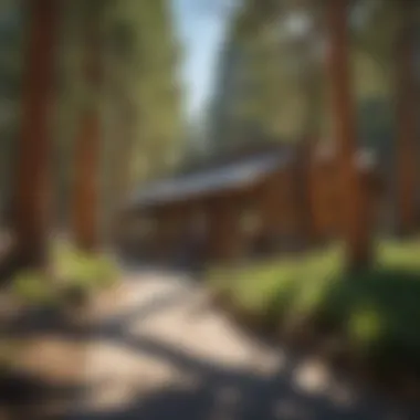 Immersive Learning Experience Visitors engrossed in interactive exhibits at Kings Canyon National Park Visitor Center