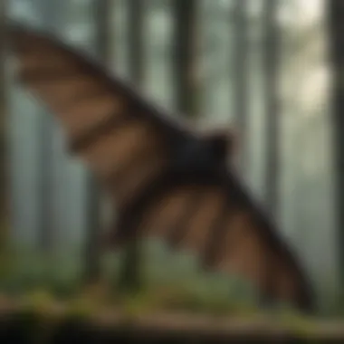 Elegance in Flight: Wing Details Close-up of intricate bat wing structure