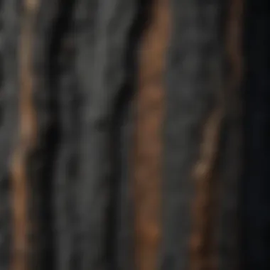 Intricate Charred Wood Detailing in Shou Sugi Ban Style