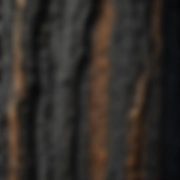 Intricate Charred Wood Detailing in Shou Sugi Ban Style