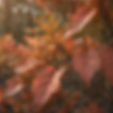 Intricate Drought-Resistant Desert Peach Leaves Close-up of desert peach leaves showcasing intricate drought-resistant features