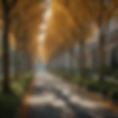 Intricate landscape design with alley trees