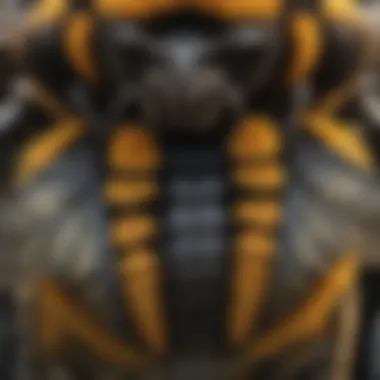 Close-up of the intricate pattern on the big bumblebee's wings