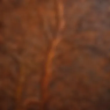 Close-up of intricate pattern created with Powell and Sons staining