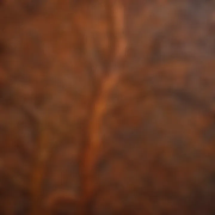 Close-up of intricate pattern created with Powell and Sons staining