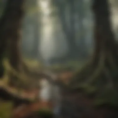 Intricate Root System Below Forest Floor