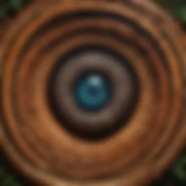 Intricate Patterns of Wood Rings Under Microscope