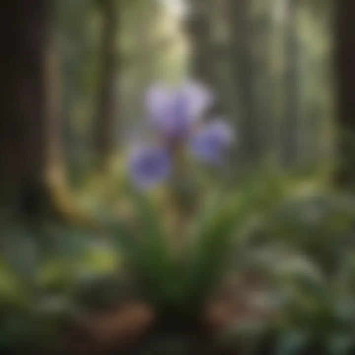 Botanical Elegance