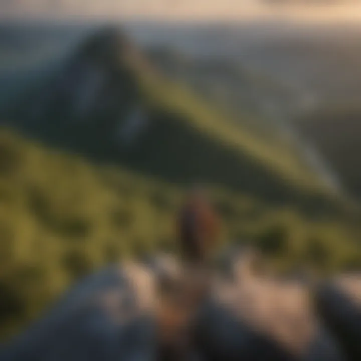 Hiker Admiring Valley View from Mountain Peak