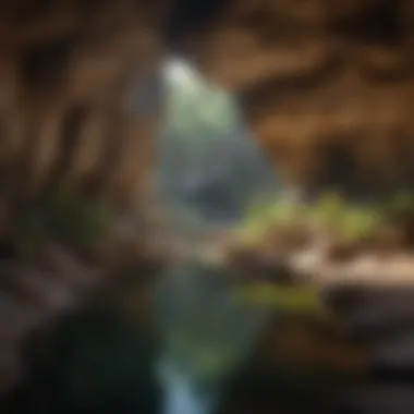 Cave Oasis