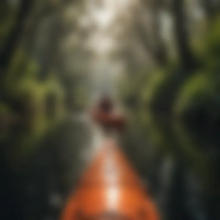 Kayaking Amidst Greenery Kayaker navigating through lush greenery of Ocala National Forest