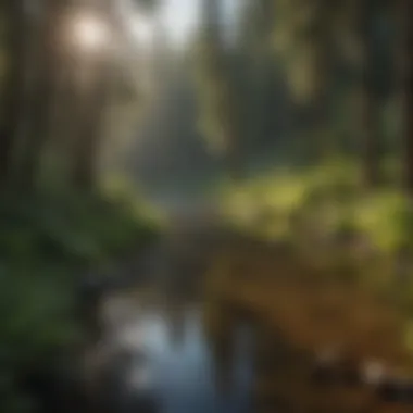 Scenic view of Kelsey Creek surrounded by lush greenery