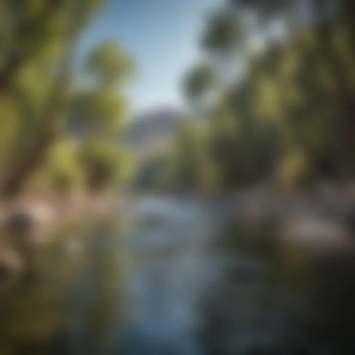 Tranquil Waters of Kern County Rivers Serene River Flow in Kern County