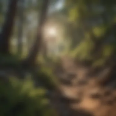 La Luz Trail Ascent Breathtaking La Luz Trail Ascent