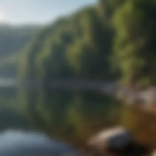 A panoramic view of Lake Ocoee surrounded by lush greenery.