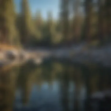 Impact of Environmental Changes on Lake Tahoe Environmental changes affecting aquatic life in Lake Tahoe